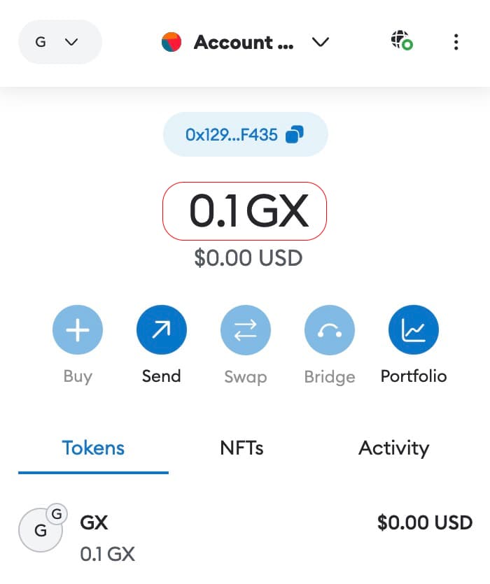 MetaMaks GX Balance